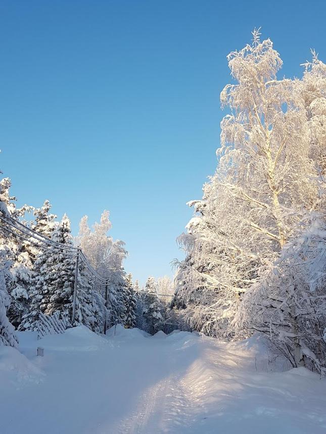 Arctic Luxury Home Rovaniemi Ngoại thất bức ảnh